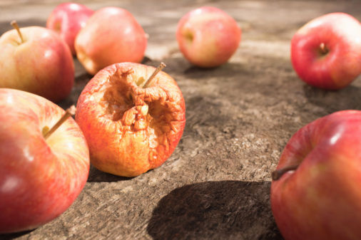 坏了一点的苹果能不能吃?