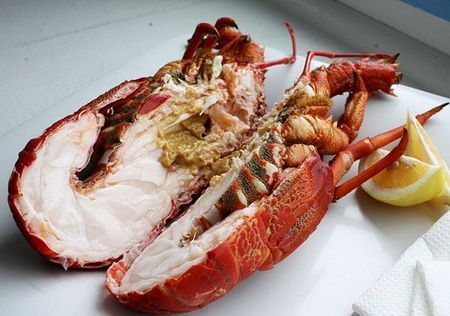 环球美食:如画新西兰+龙虾