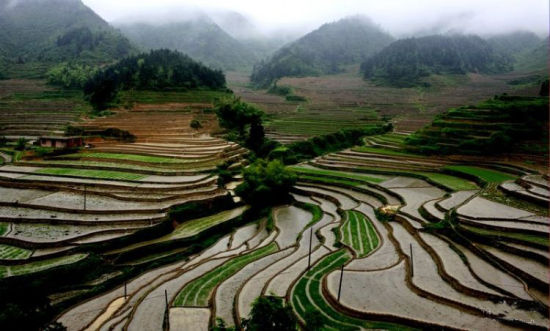 又一旅游新亮点江西遂川梯田