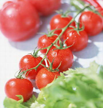 不节食的享瘦 西红柿减肥食谱款款吃着瘦