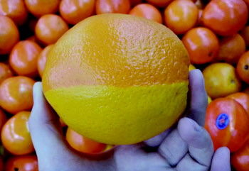 淄博超市里橙子竟被染成阴阳脸 一碰还掉蜡(图