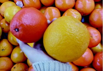 淄博超市里橙子竟被染成阴阳脸 一碰还掉蜡(图