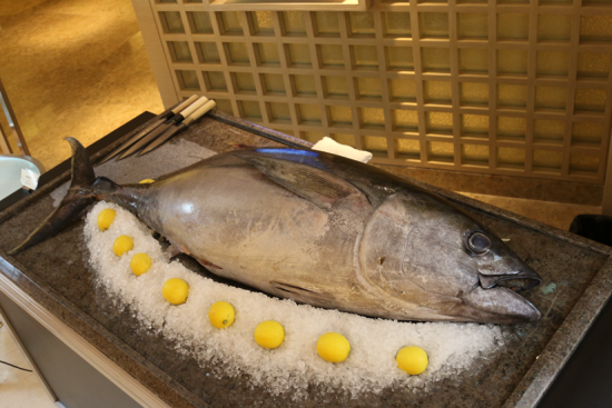 暖春“开鱼祭”，100斤深海金枪鱼现场尝够鲜